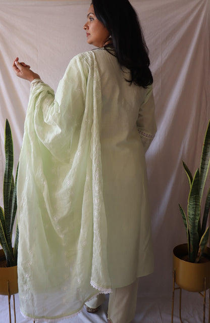 Sage Elegance - Green Chikankari Suit